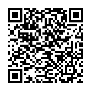 吴岩根本不做任何犹豫的直接疯狂把全身法力全都注入此扇之中二维码生成