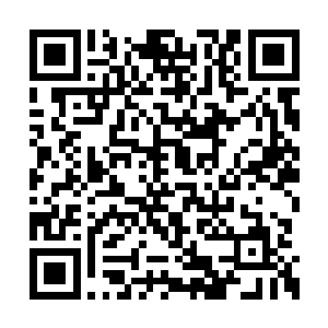 吴岩此刻正凝立在距离那水汽界壁数丈远的地方二维码生成