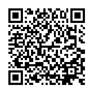 吴岩此时正凝立在插天峰脚下某处无名山谷的一座不起眼山石上二维码生成