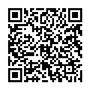 吴岩现在居然还单独为他们打造了一方安全的界域二维码生成