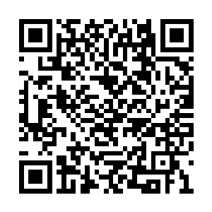 吴岩的血身魔婴已初步掌握了这种幻灵结界之法二维码生成