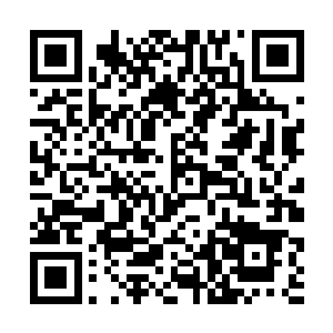 吴岩的那由杀戮剑道凝聚而成的大五行诛仙剑阵神剑二维码生成