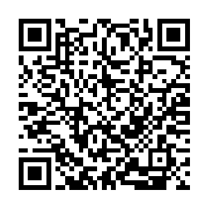 吴岩获知了此九道真言法诀神通可以除掉一身的血煞二维码生成