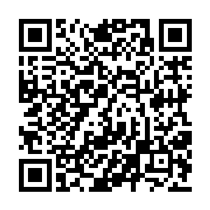 吴岩虽不敢说完全了解须弥海修仙界的修行方法二维码生成