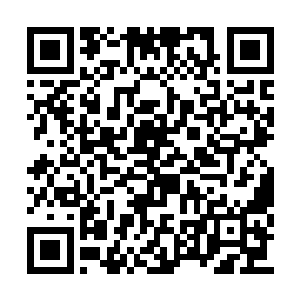 吴岩虽然对虎蛟一族众修士的凶狠之色恍若未见二维码生成