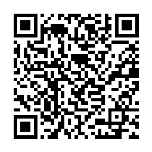 吴岩讥诮的扫了一眼已经被吓的脸色惨白的巴桐一眼二维码生成