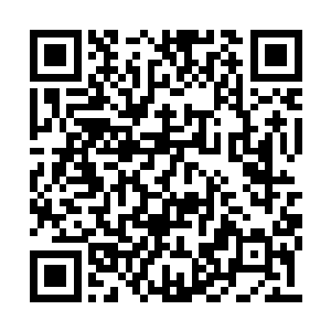 吴岩语气不容置疑的朝冥燕族的鬼雀妖王吩咐道二维码生成