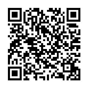 吴岩躲在距离魔气云柱外约有十余里的一片海树丛林内二维码生成
