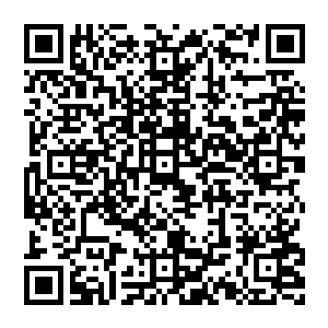 吴岩这时已经取出了一枚阵盘和数十枚阵旗目光在那死亡山林四周查看片刻后便凝重手中阵盘和阵旗丢了出去二维码生成