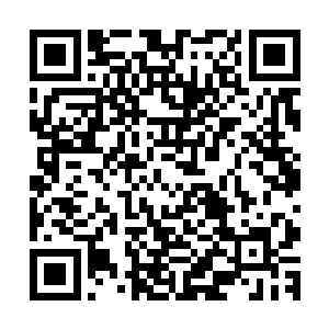 吴岩这次可是把这十三部族所有的宝库中的宝物几乎劫掠一空二维码生成