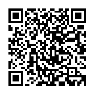 吴岩这边以五行炼仙鼎向九头妖帅主蛇头的蛇腹之中的妖丹卷去二维码生成