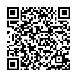 吴岩这近百年来不断在须弥洞天世界和五水洞天世界往返二维码生成