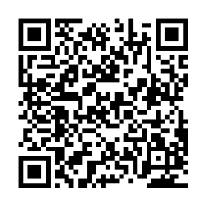 吴州的化工企业主们来到江州化工产业园筹备组办公室二维码生成