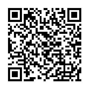吴帅不敢冒然将两天联盟中的其他蛊仙接进龙宫二维码生成