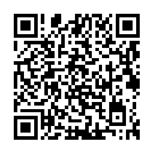 吴幸的八颗头颅却是不约而同的露出了轻蔑之色二维码生成