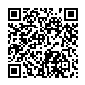 吴幸见那只黑蛟竟这般傻的任由自己的水网困缚住二维码生成