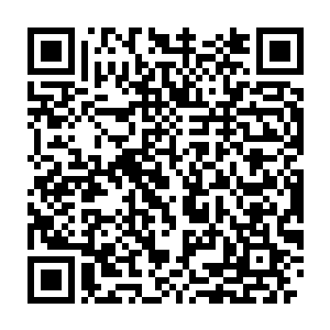 吴教主真把那蚩家魔族的战兽雕像和神龛魔香从大魔神那里讨来了吗二维码生成