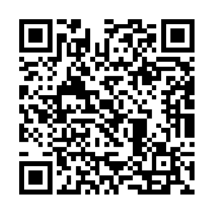 吴教授突然叫我继续协助完成桂枝汤解热作用的研究二维码生成