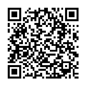 吴老弟当初也是跟我们四大宗派和猎海联盟共同签署了协约的二维码生成