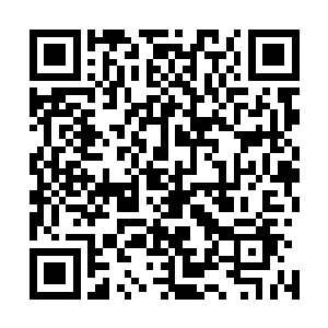 吴莹莹再次一脸满足的摸了摸自己那略微有些鼓起的小肚子二维码生成