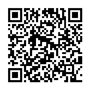 吴虎臣垂头丧气地朝着客厅消失不见的大门看了一眼二维码生成