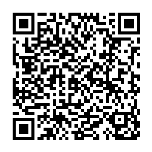 吴虎臣居然一脸认真的关注着猪不能和牛长德这两个家伙之间的战斗二维码生成