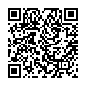 吴虎臣开始从那枚黄豆大小的金丹上抽取能量修复身体二维码生成