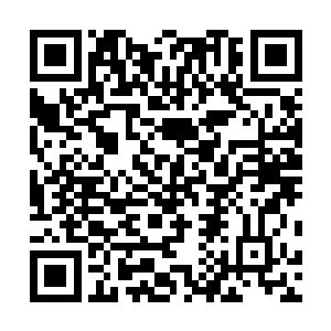 吴虎臣怎么也没有想到李月茹会这么及时的出来帮助自己二维码生成