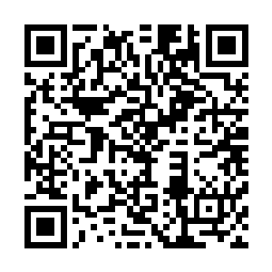 吴虎臣本想拉着李二娃和朱大明两人一起和小姨吃个午饭的二维码生成