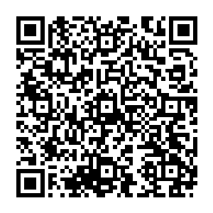 吴虎臣相信被洗髓丹洗精伐髓之后的青年帮兄弟们肯定也会最大限度的吸收其他丹药的药效二维码生成