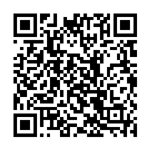 吴虎臣看着天上那条仿佛远古而来的巨龙庞大的身影二维码生成