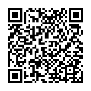 吴虎臣看着已经朝着酒吧里面走去的吴虎臣的背影二维码生成