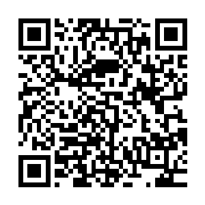 吴虎臣笑着指了指自己前面的那一对正在吻得有些激烈的小情侣二维码生成
