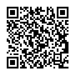 吴虎臣身上的毛细血孔也在不断的有金色的液体流出二维码生成