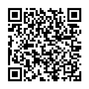 吴雅姿指着地下一处出现无数裂纹并微微隆起惊道二维码生成