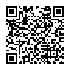 吴雨辰回到办公室去拿丁二狗的驾驶证和行驶证了二维码生成