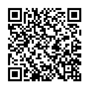 吴露梦看着镜子里被打扮的几乎完美的女人一阵窃喜二维码生成