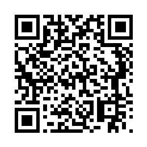 吵到了君子宴……你以为是什么意思二维码生成