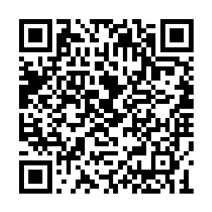 吸了吸小鼻子在叶璃怀里蹭了蹭便要昏昏欲睡了二维码生成
