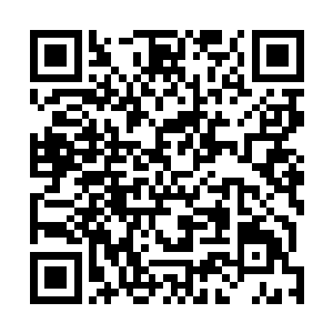 吸引了数量众多的冒险者佣兵商人等各种职业者前来定居二维码生成