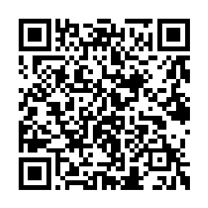 吸引罗林注意的是这几个人身边的几个行李担子二维码生成