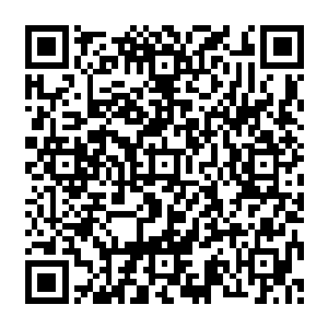 吸引这些武者进入南沼之地的是那里丰富多产的天才地宝和隐藏在未知角落的各种洞府二维码生成