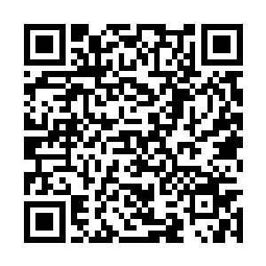 吸收两年分量的九品的真仙之气居然有这样的效果二维码生成