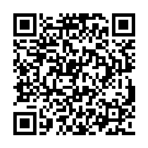 吸收了他全身所有的力量之后已经处于蜕变边缘二维码生成