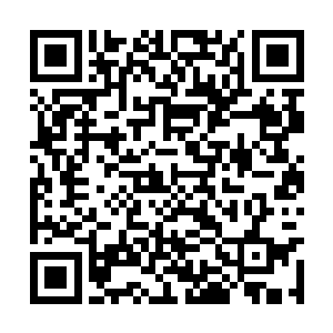吸收的血气力量之大比单纯的血玛瑙都要强上一些二维码生成
