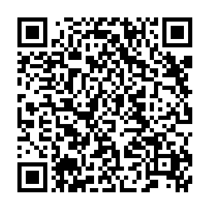 吸星掌修炼至大成是真的可以将敌人体内的鲜血硬生生的吸出来的二维码生成