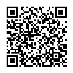 吸血鬼公爵不可以在敌方不挑衅的前提下攻击对方二维码生成