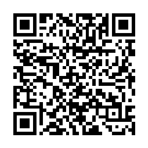 吸血鬼唯一想要做的恐怕就是尽快离开这个鬼地方二维码生成