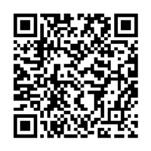 吸血鬼比尔其实也是第一次施展法阵召唤成功地狱蛇怪二维码生成