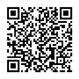 吸血鬼比尔突然向狼人斯科特用心灵感应方式道二维码生成